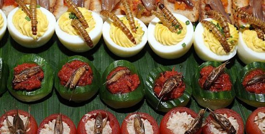 Фото: http://debosh.net