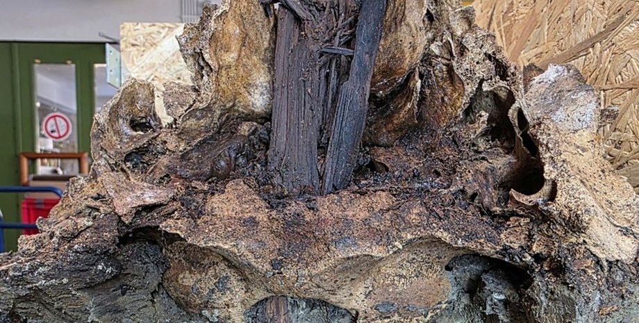 Археологи виявили найдавніше кремаційне поховання у Німеччині