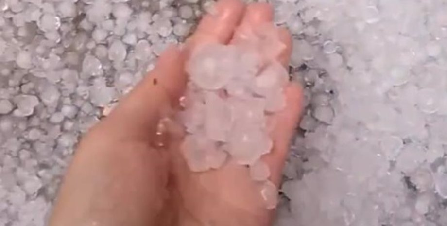 Фото: Скриншот