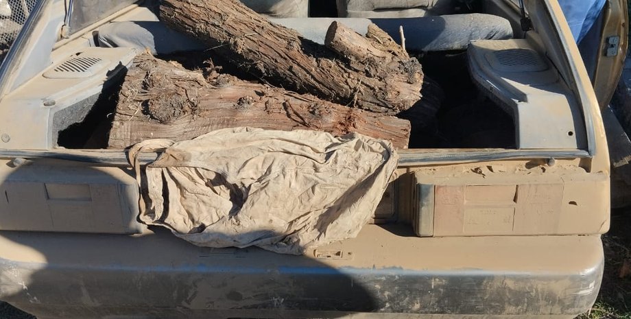 дрова, опалення дровами, штраф за дрова