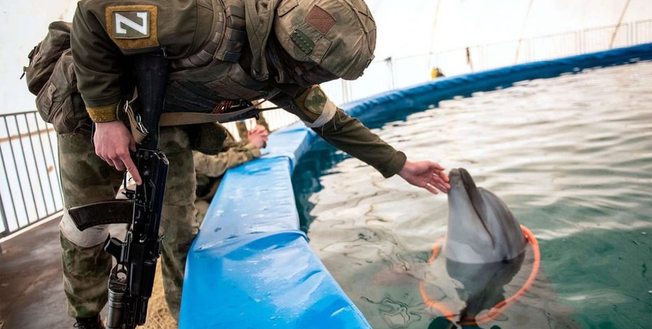 Российские войска и дельфины