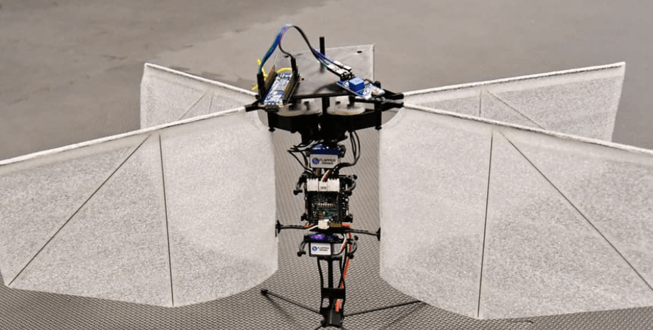 новий безпілотник для прихованого спостереження
