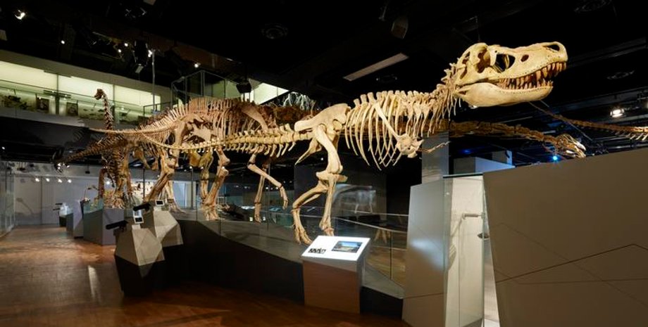 Фото: Museums Victoria