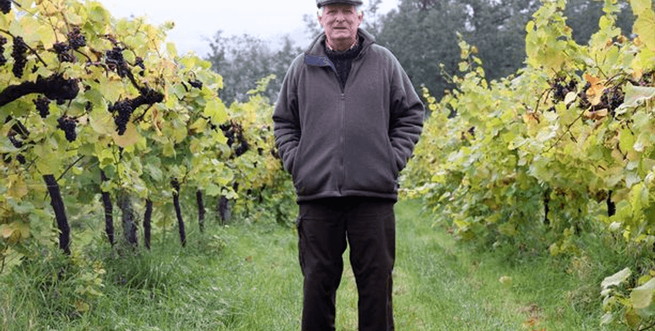 Ричард Моррис и его виноградники