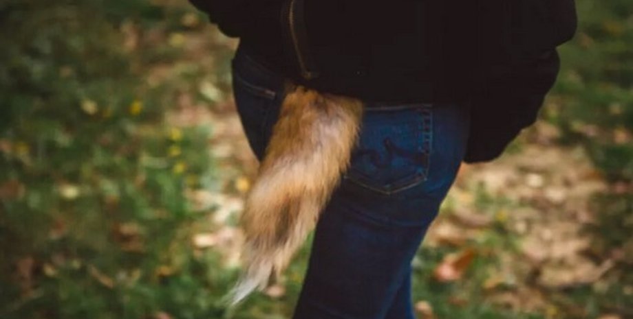 хвіст, людина