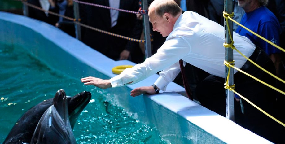 путин и дельфин, путин в дельфинарии,