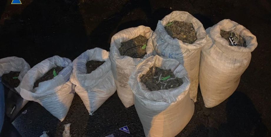 незаконная добыча янтаря, янтарь, сбу, изъят янтарь