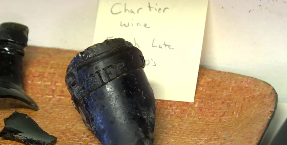 Пастор нашел артефакты под столетней магнолией, дерево, находки, археологические раскопки, фото, приколы, США