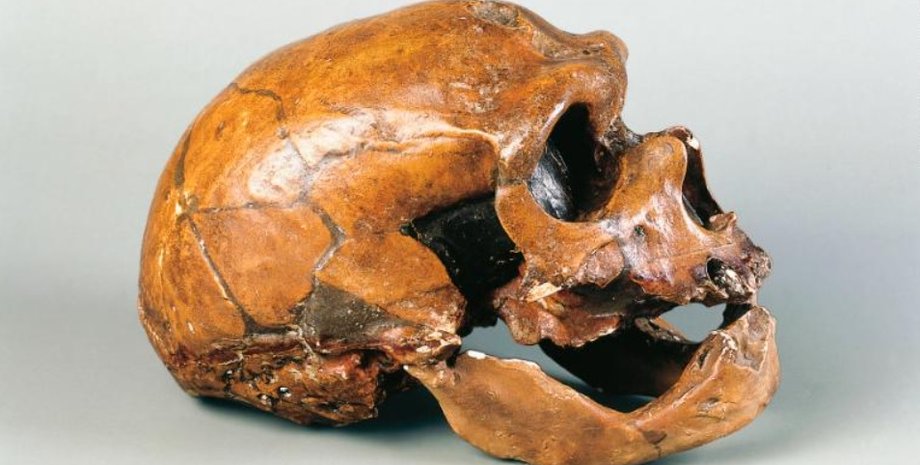 супервулкан, неандертальці, виверження, Везувій, Італія, вимирання, зима, вулканічна активність, клімат, модель, зникнення неандертальців, похолодання, льодовиковий період