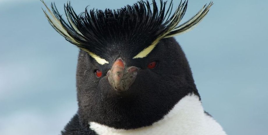 Фото: МирТесен