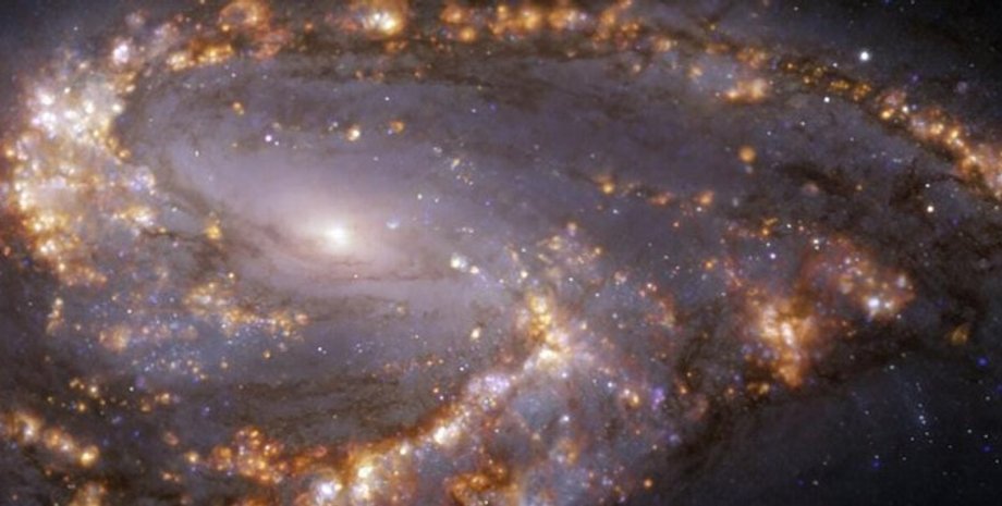 Иллюстрация.