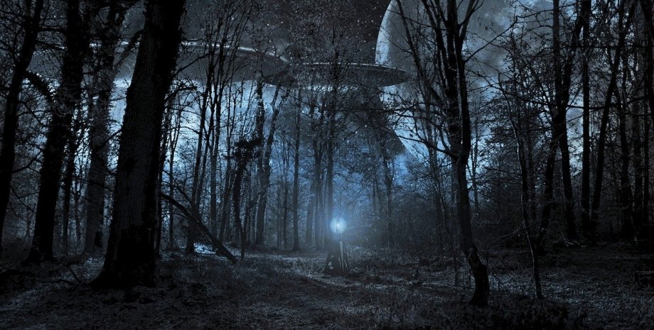 НЛО НЛО, лес, луна, фото