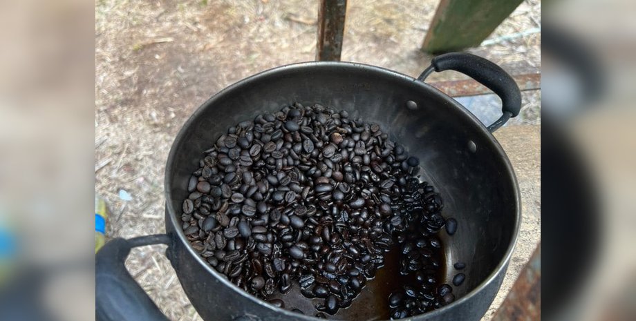 Чернобыльская зона, Рыжий лес, кофе, кофейные зерна, каша из кофе