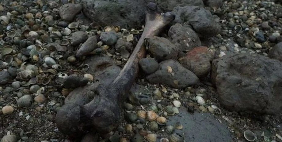 остров мертвеца, большая британия, захоронения, туристы