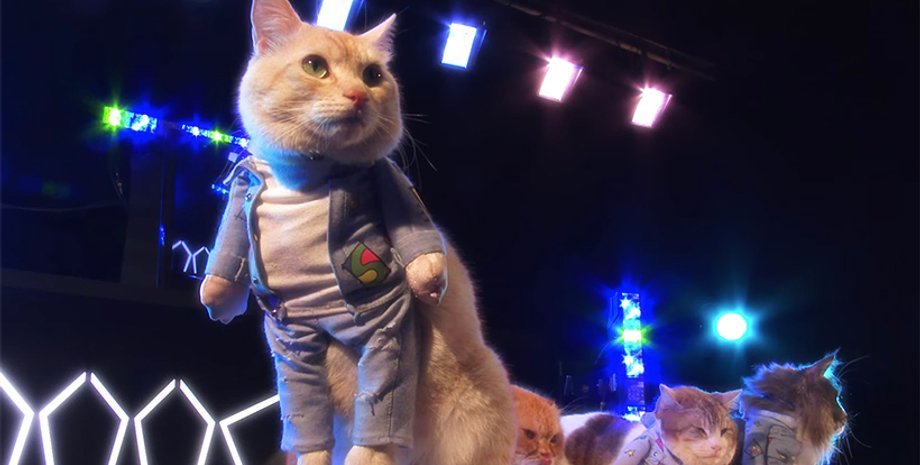 Кадр из видеоролика