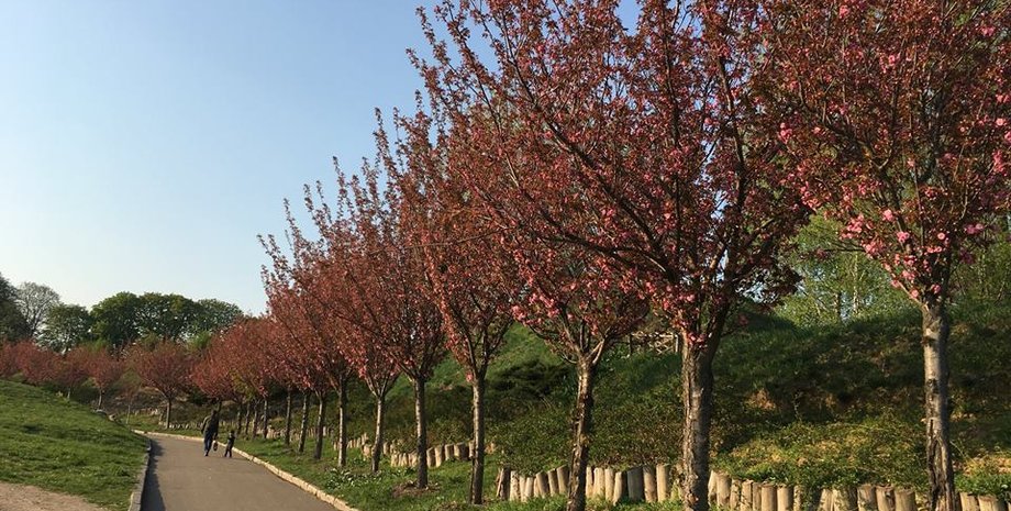 Фото: facebook.com/nbg.kiev.ua