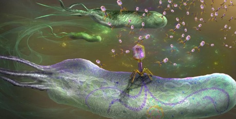 вірус, синтетичний вірус, ШІ вірус