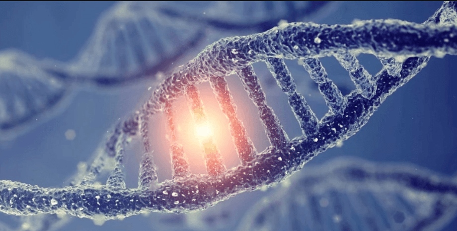 ДНК Прогнозируемая продолжительность жизни интересует ученых