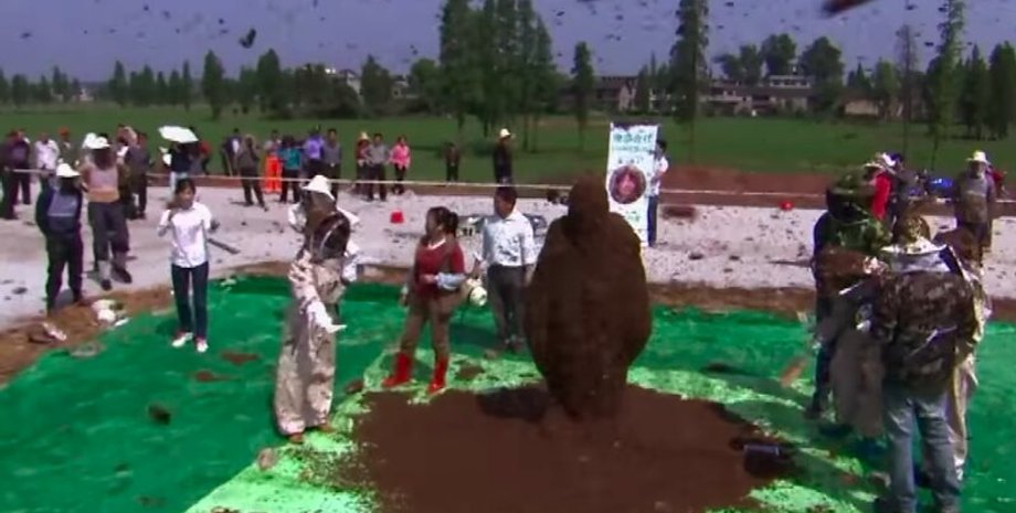 Фото: Книга рекордов Гиннеса