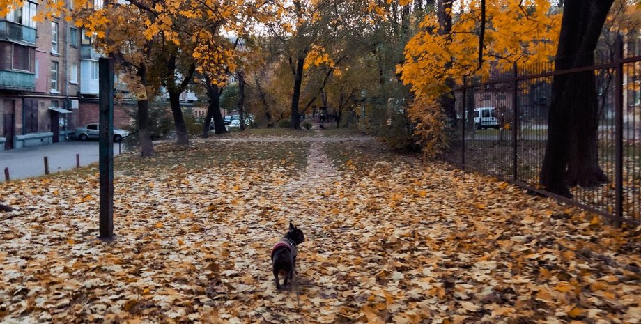 погода в Украине Начало ноября будет теплым