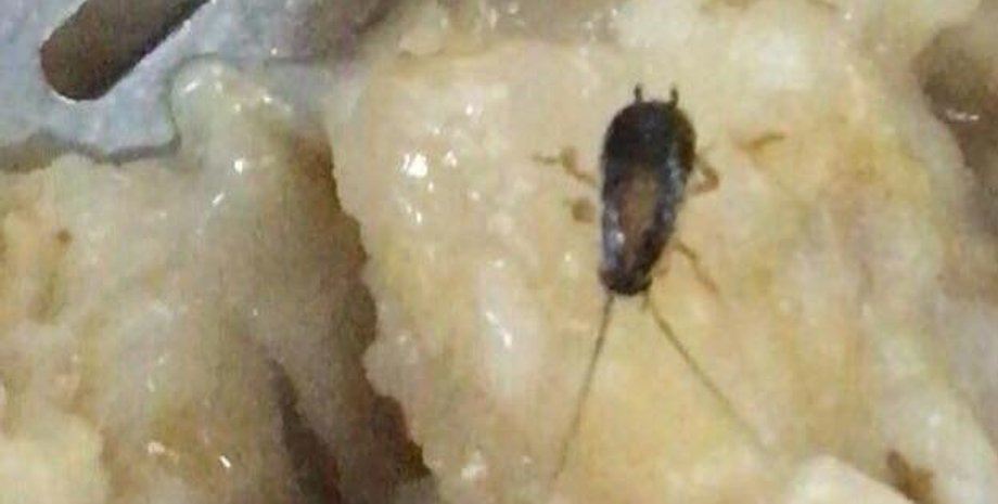 Фото: Анатолий Матиос / Facebook