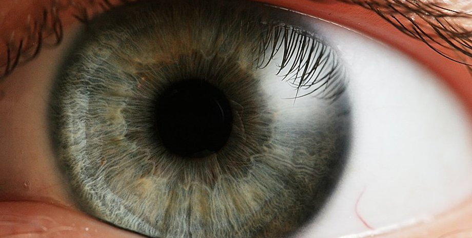 глаз, зрение, зрачок