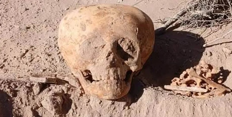 череп, аргентина, человек-муравей