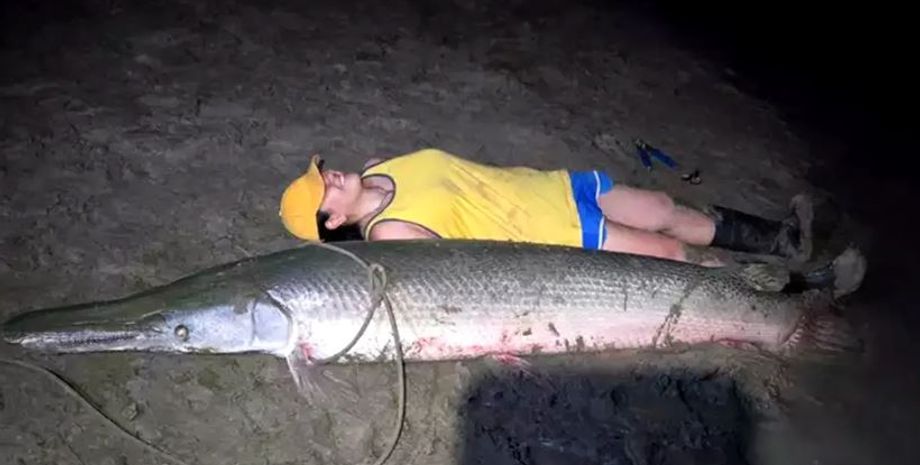 Женщина поймала в реке щуку рекордных размеров, невероятный улов, рыбалка, интересные новости, курьезы
