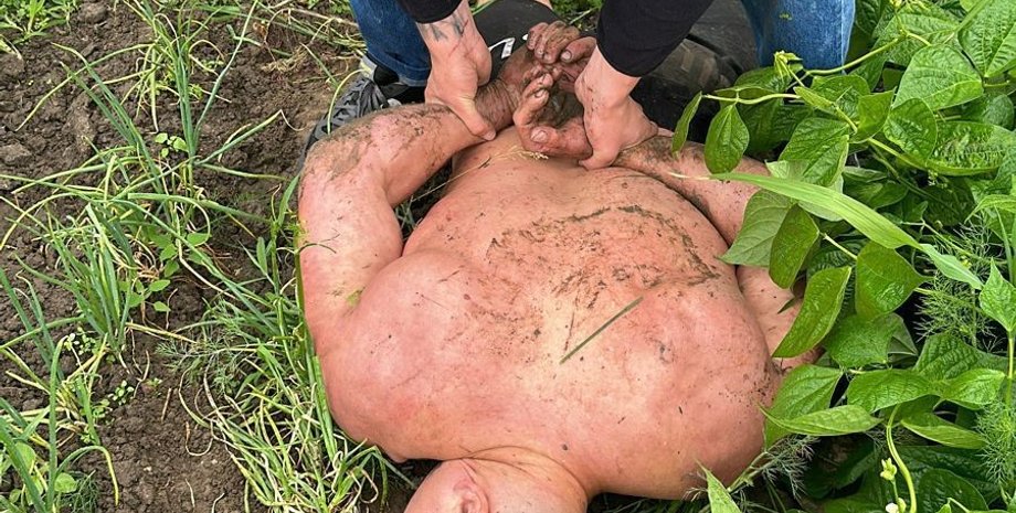 получение причастного к избиению экс-военного