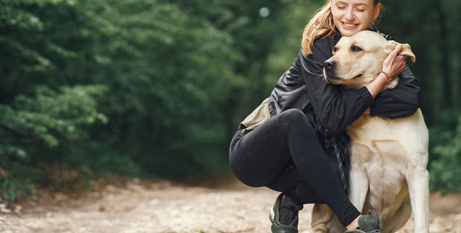 собака, дівчина