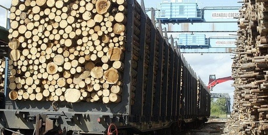 Фото: Агрополіт