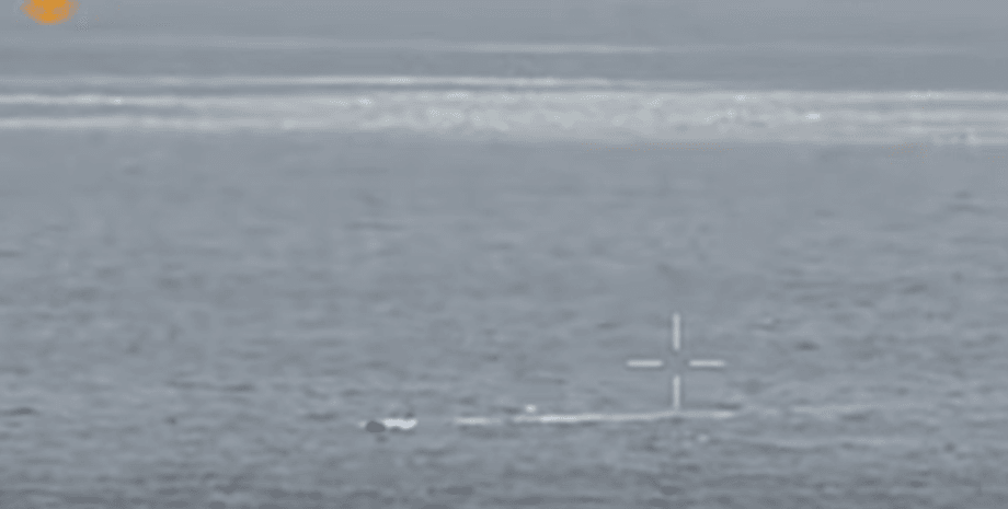 Морской дрон РФ пытался атаковать порт Одессы