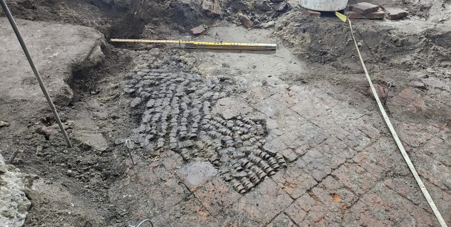 Нидерланды, археологи, археология, находка, пол, кости, Голландия, открытие, история, плитка, здание, животные, культура, исследования, Алкмаар