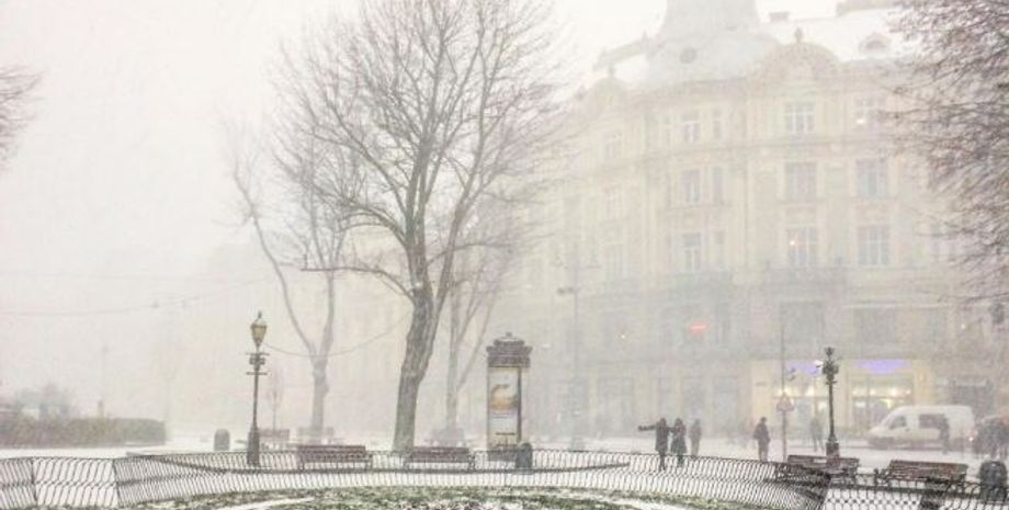 Фото: instagram.com/torikaya