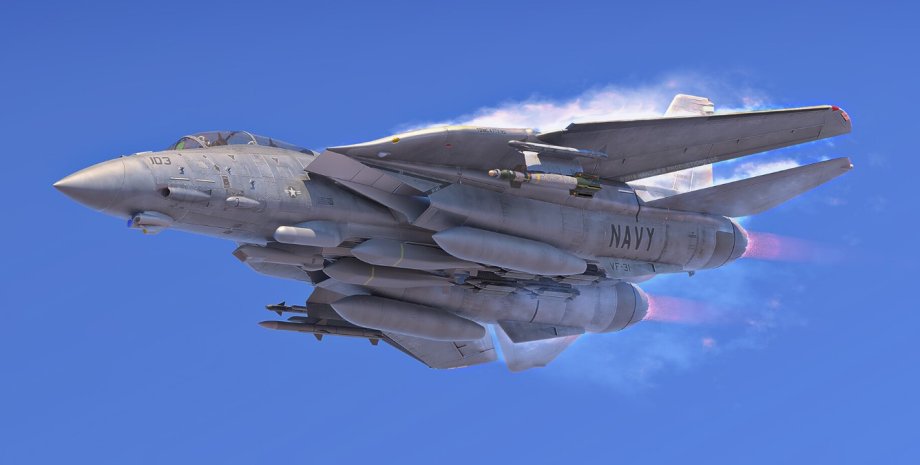 винищувач F-14D