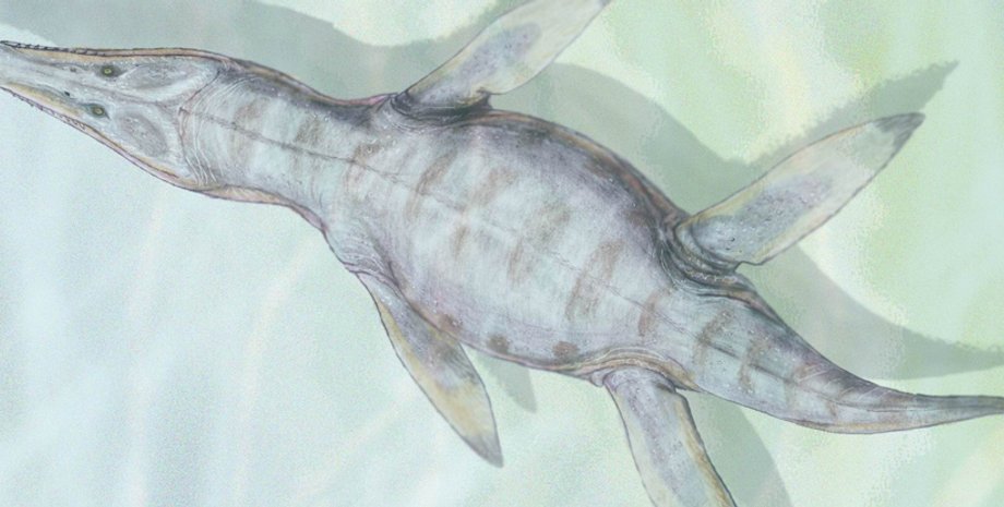 палеозавр, полиптиходон