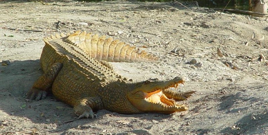 Фото: powerpic.ru