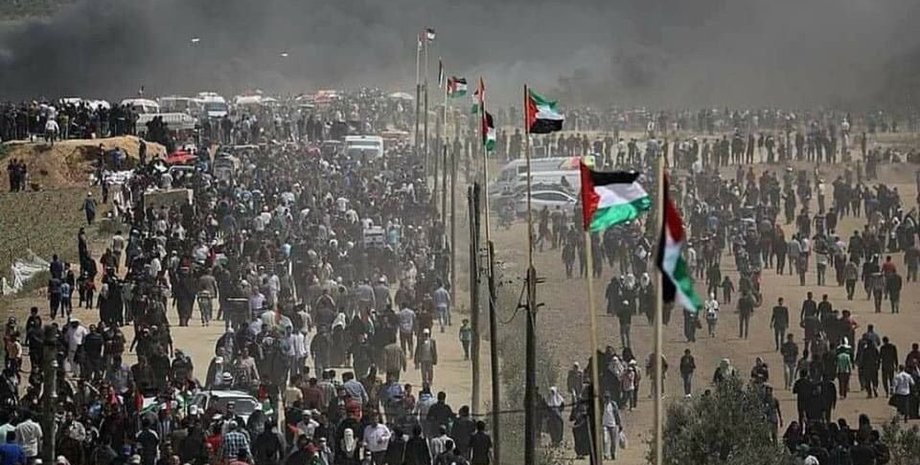 Фото с сайта siasat.com