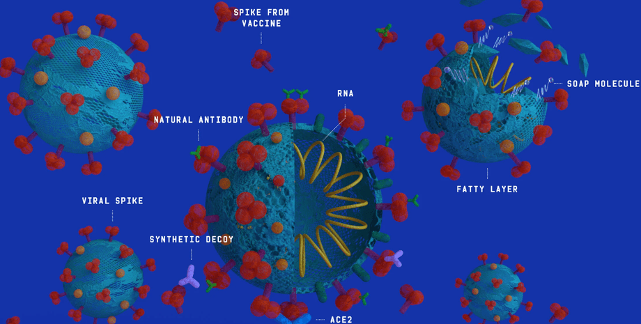Иллюстрация: SIMOUL ALVA