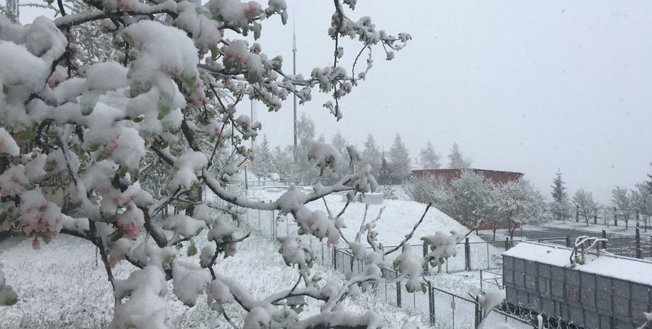 Фото: facebook.com/tsoua2020