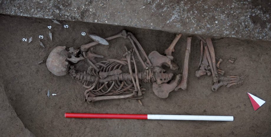 Італія, археологія, некрополь, вчені, дослідження, поховання, відкриття, артефакти, розкопки, кладовище, історія, мідний вік