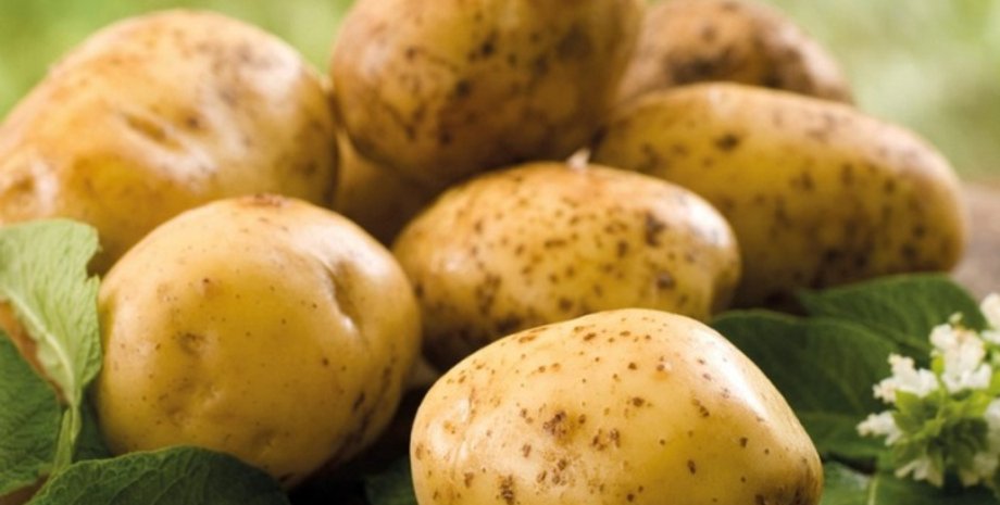 Фото с сайта epravda.com.ua