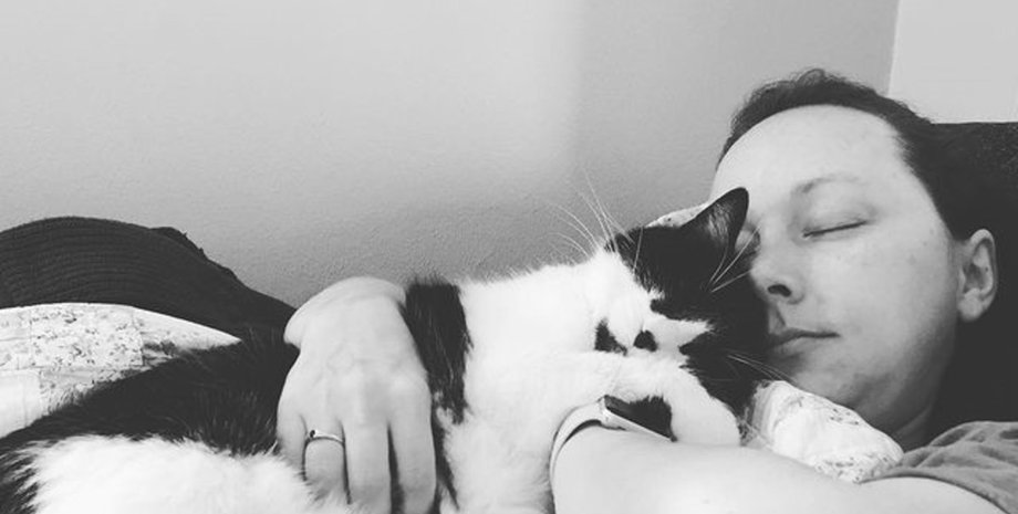 кот, рак, хозяйка