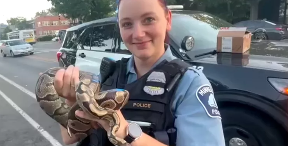 У салоні машини водій знайшов живого пітона, рептилії, плазуни, змія в машині, поліція, курйози, фото, США