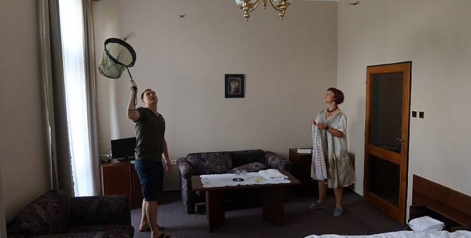 кажани, готель кажани, готель, порятунок тварин