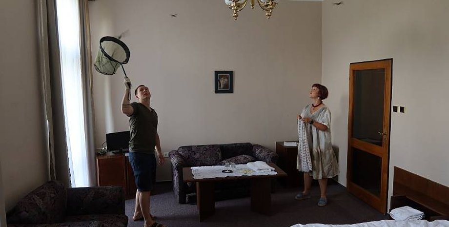 кажани, готель, порятунок тварин