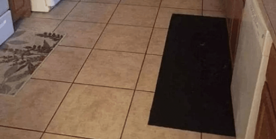 Визуальная головоломка, тест, задача, загадка, проверка зрения, проверка на внимательность, вирусное фото, соцсети, тренировка памяти