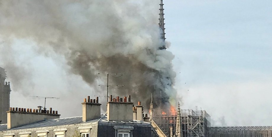 Фото: twitter.com/J_Nsf