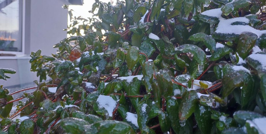 Зберігаються морози до -28: Діденко розповіла, коли очікується потепління в Україні