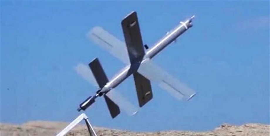 Les analystes estiment que Téhéran pourrait être intéressé par des drones tels q...
